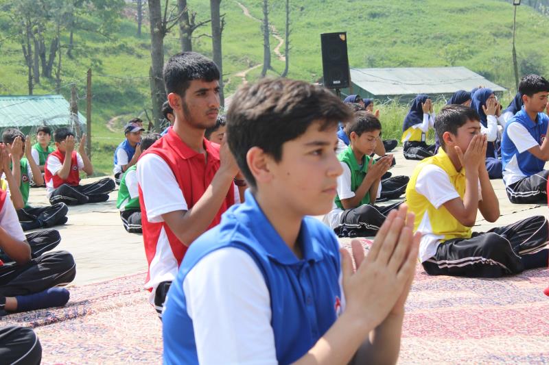 Yoga day celebration 